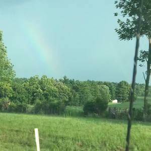 Meet your Posher, Patty